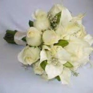 Meet your Posher, Veronica